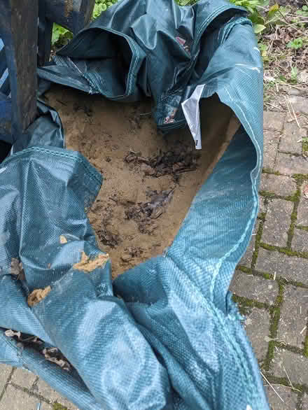 Photo of free Builders soft sand (Banham nr16) #1