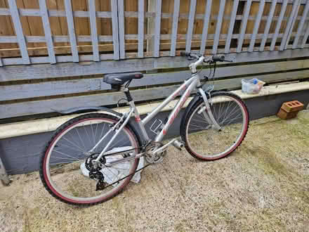 Photo of free Ladies carrera vulcan (Dothill TF1) #1