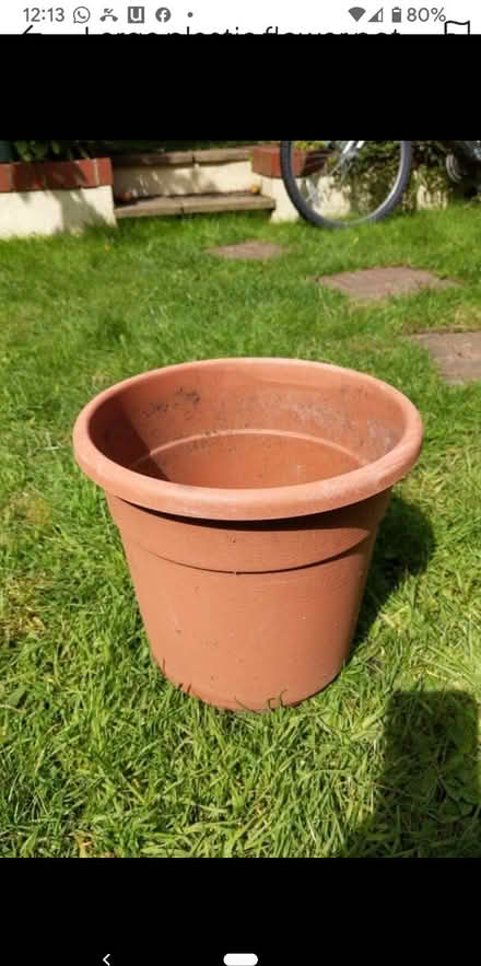 Photo of free Large plastic flower pot (Woodlands TW7) #1