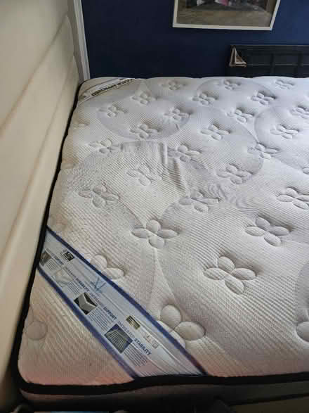 Photo of free King Koil Queen Size mattres (Marsiling rise , 730128) #1