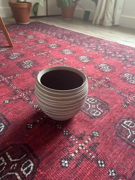 Photo of free Plant pot (Streatham Hill) #1