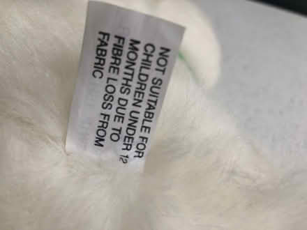 Photo of free Fraser fluffy duck (Bromley BR1) #4