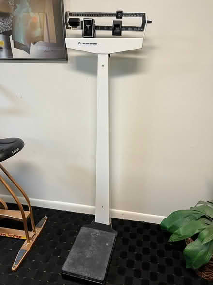 Photo of free Working scale (Potomac - Falls and Democracy) #1