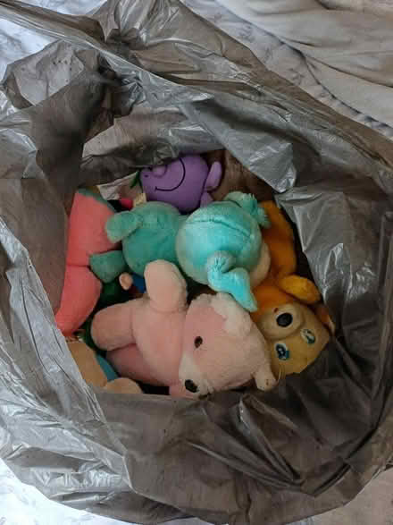 Photo of free Soft toys (SS9) #1