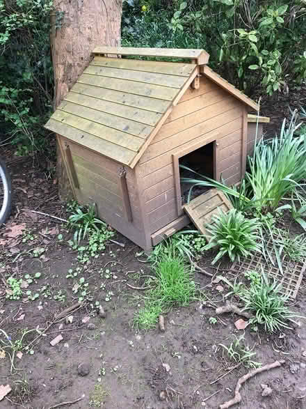 Photo of free Chicken Coup (Bridlington YO16) #1