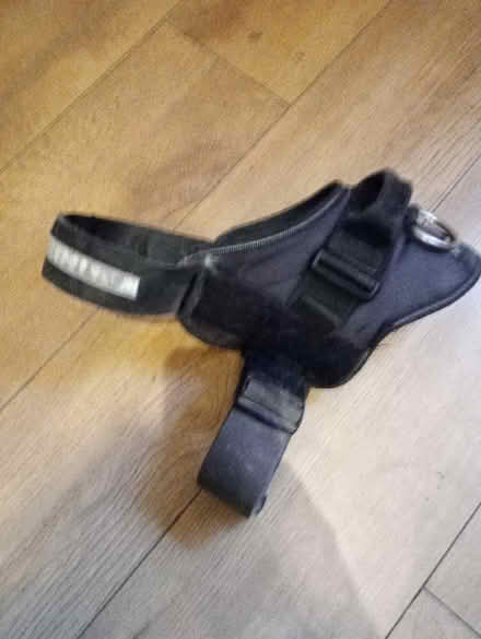 Photo of free Dog Harness (Kendal LA9) #1