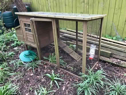 Photo of free Coup & Run - Rabbits, Chickens etc (Bridlington YO16) #1