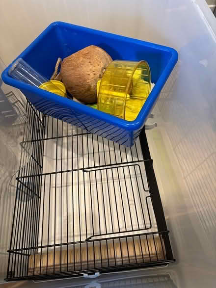 Photo of free Hamster cage and accessories (Chestnut Hill/ Newton) #1