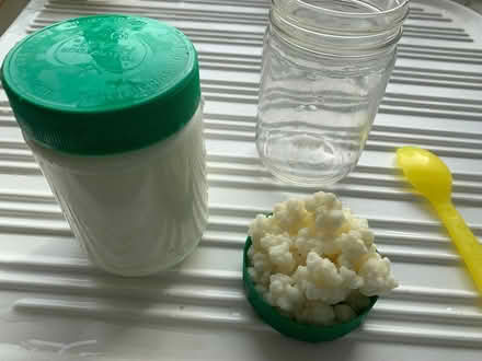 Photo of free Kefir Grains (milk) (Teignmouth) #1