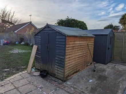 Photo of free Shed (Felpham PO22) #1