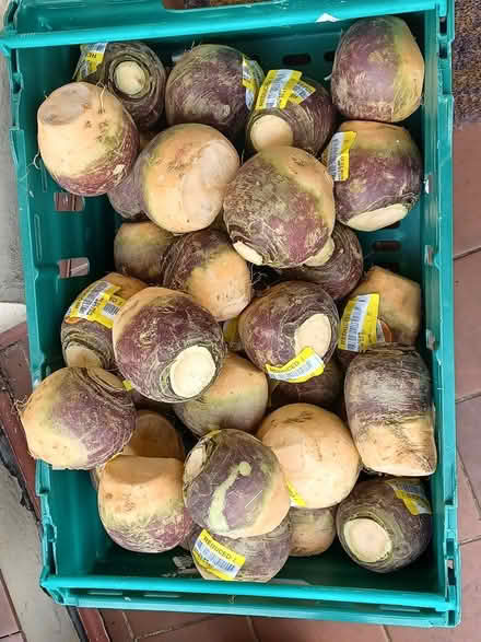 Photo of free Sweed (B63 halesowen) #1