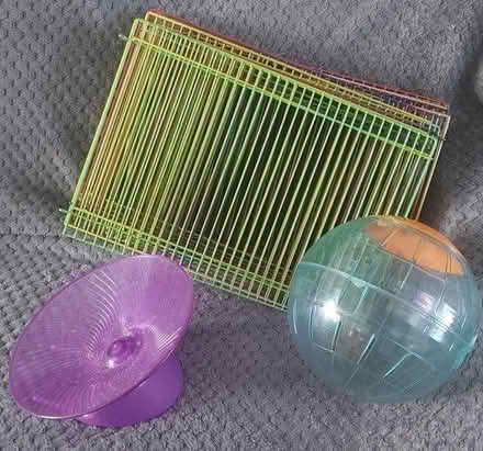 Photo of free Hamster accessories (Havant) #1