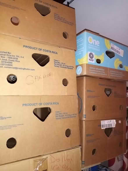 Photo of free 6 deep strong banana boxes (Saint Andrew Auckland DL14) #1