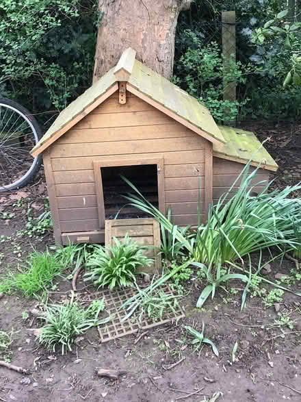 Photo of free Chicken Coup (Bridlington YO16) #3