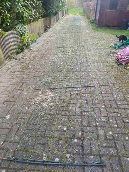 Photo of free electric chicken fence (Baldslow TN37) #1