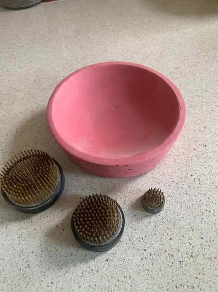 Photo of free Stuff for ikebana (Juniper Green EH14) #1