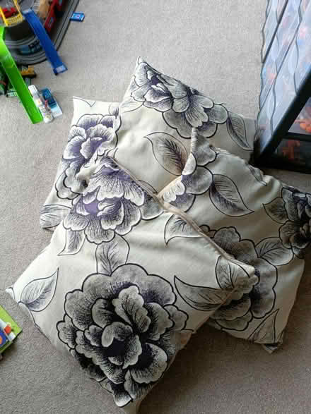 Photo of free 4x cushions (Welwyn Garden City) #1