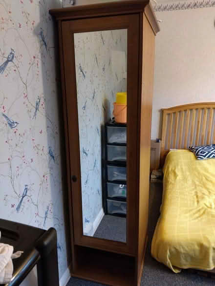Photo of free Single wardrobe mirrored (Orpington) #1
