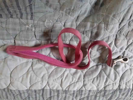 Photo of free Dog leads, collars, harness etc (Upper Hill HR6) #2