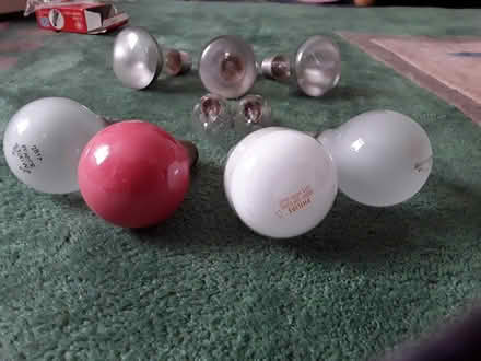 Photo of free Light bulbs (Tottenham N17) #2