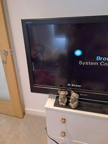 Photo of free 40" Sony tv (TQ3 Paignton) #3