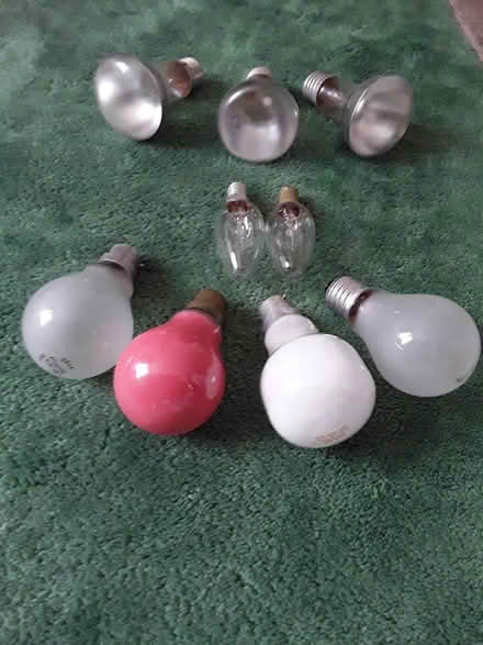 Photo of free Light bulbs (Tottenham N17) #1
