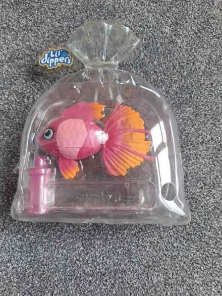 Photo of free Little Live Pets fish (Woodley RG5) #1