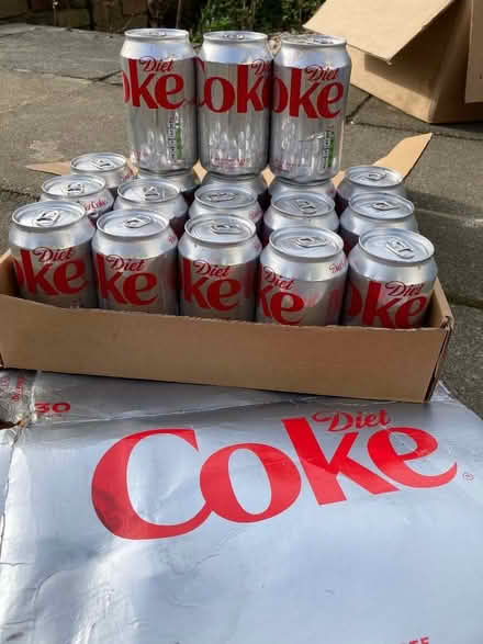 Photo of free Diet Coke cans x 18, out of date (Hastings TN35) #1