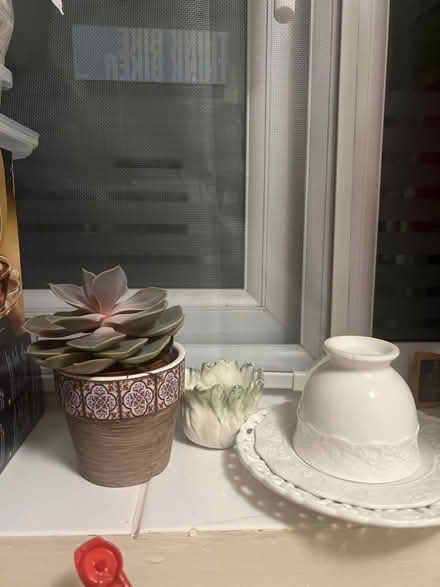 Photo of Succulent compost (SE9) #1