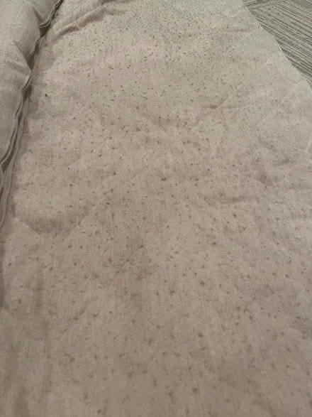 Photo of free Orvis 72” tan sofa cover (Palisades DC.) #1