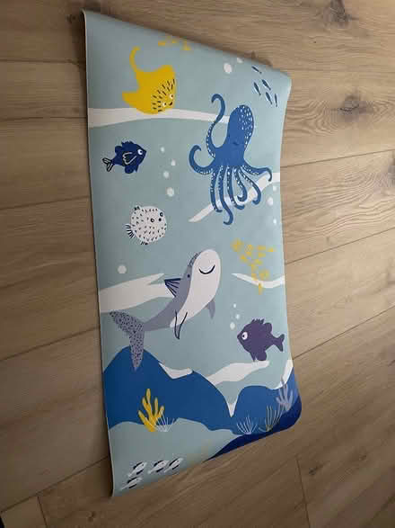 Photo of free Bath mat (Grove Road E3) #1
