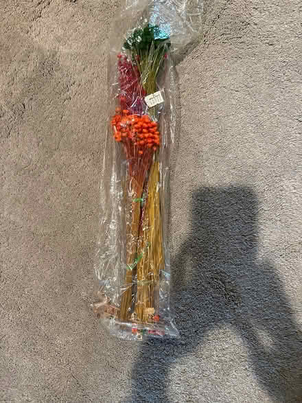 Photo of free Straw flowers (San Ramon) #1