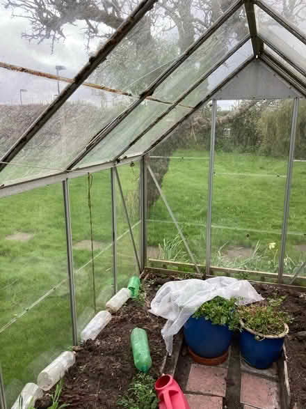 Photo of free Aluminium greenhouse (SM6) #2