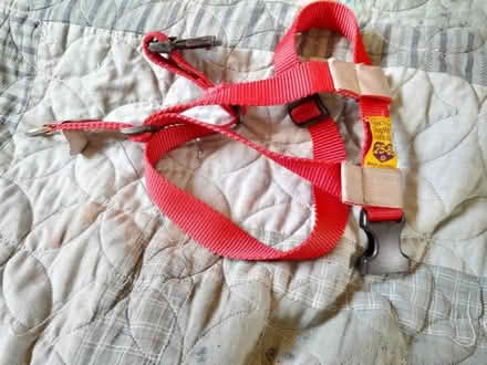 Photo of free Dog leads, collars, harness etc (Upper Hill HR6) #1