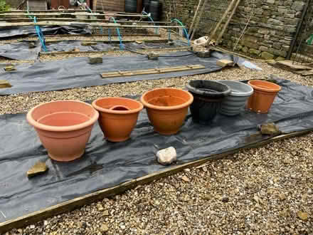 Photo of free Large ornamental flower tubs (Catlow BB10) #1