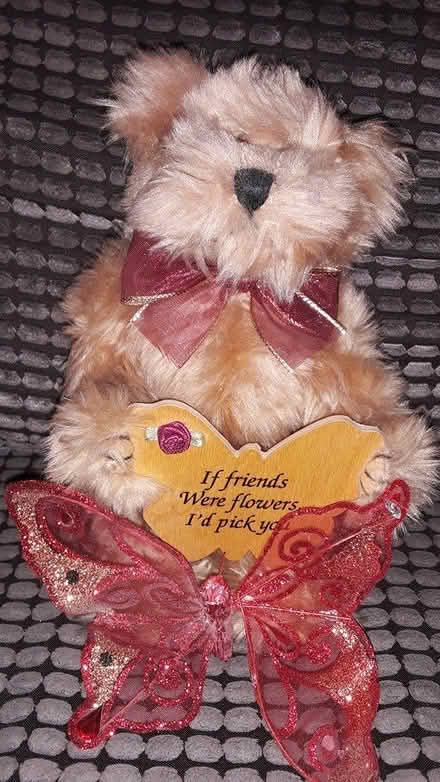 Photo of free Friendship Teddy Bear (GTA) #2