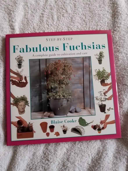 Photo of free Fuchsia growing (Ifield West) #1
