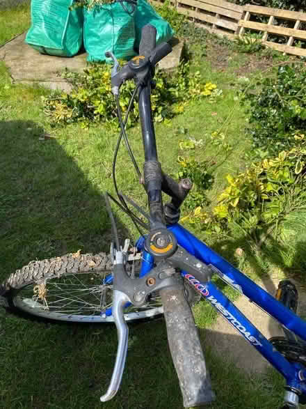 Photo of free Ladies bike (Wokingham RG40) #2