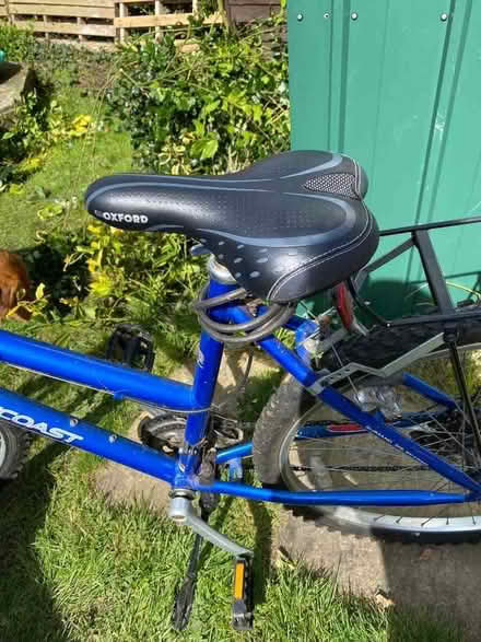 Photo of free Ladies bike (Wokingham RG40) #1