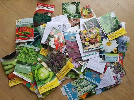 Photo of free Out of date seeds (Barming, Maidstone ME16) #1