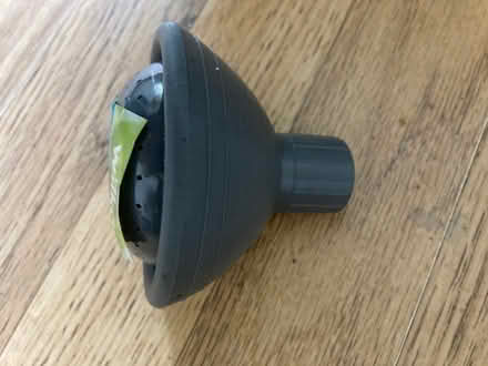 Photo of free Watering can rose (Freehold LA1) #2