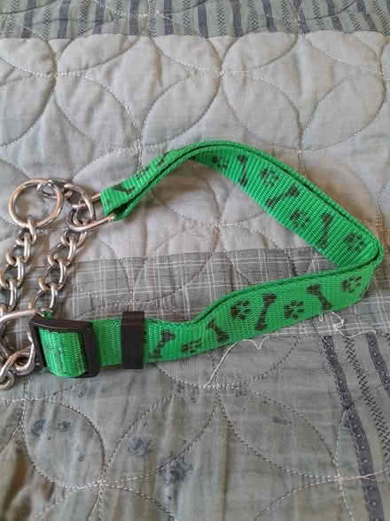Photo of free Dog leads, collars, harness etc (Upper Hill HR6) #4