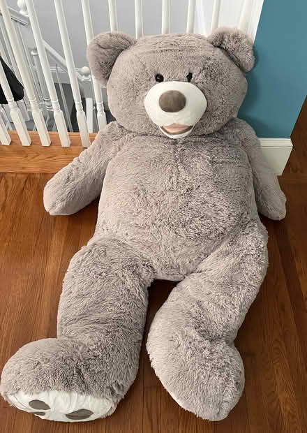 Photo of free Large Teddy Bear (Inman Square) #1