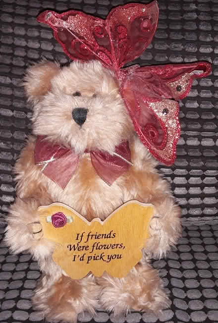 Photo of free Friendship Teddy Bear (GTA) #1