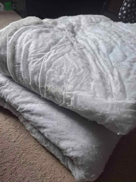 Photo of free 2 old single duvets (Seaside BN22) #1