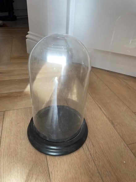 Photo of free Glass Bell Jar / Cloche (Alderley Edge SK9) #1