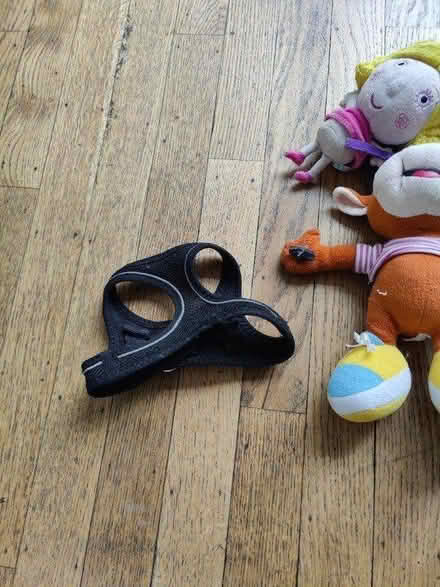 Photo of free Puppy toys and harness (Friern Barnet, N11) #2