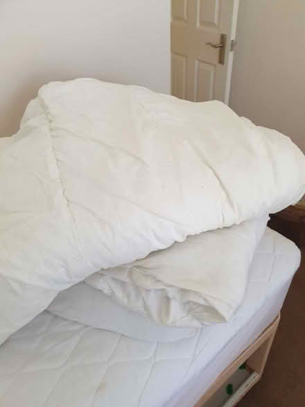 Photo of free Two single duvets (Fishers Green SG1) #1