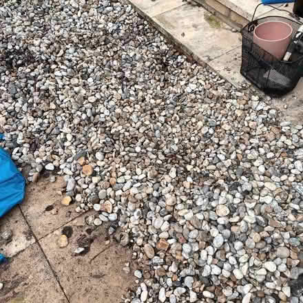 Photo of free Garden pebbles (Langney BN23) #1