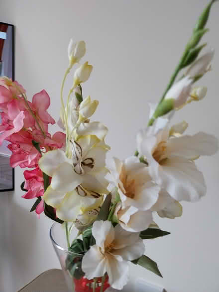Photo of free Silk flowers (Trewoon) #2